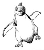coloring page Happy Feet